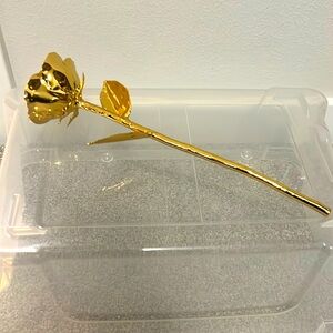 I Hate Steven Singer Classic 24kt Gold dipped rose